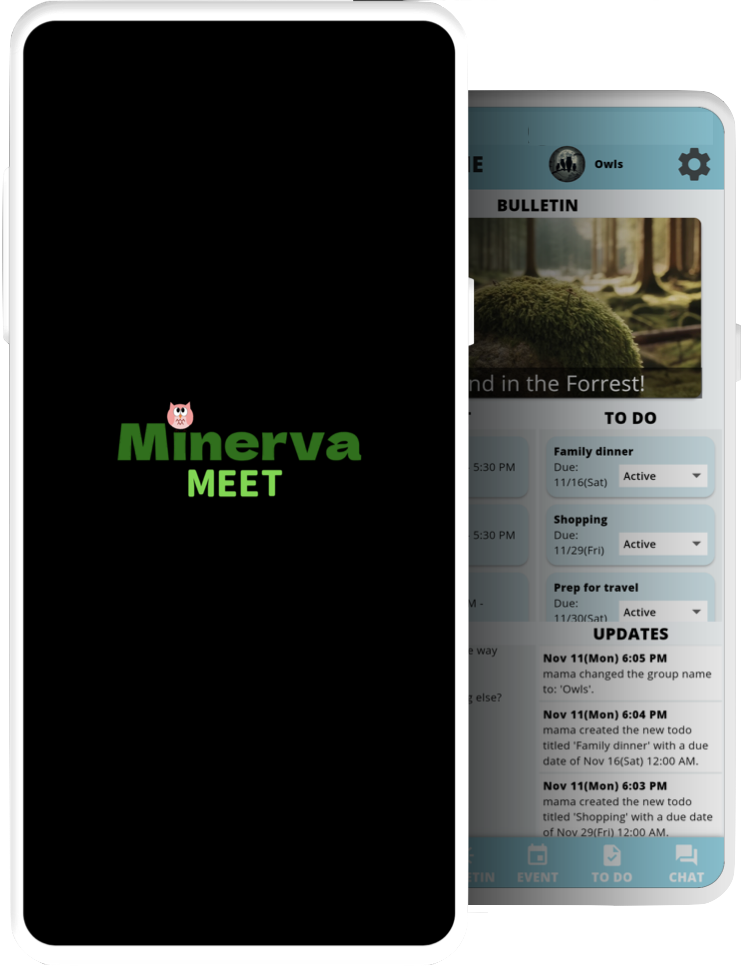 Minerva MEET